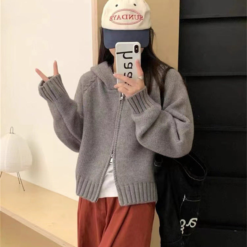 Women's Idle Hooded Knit Loose High-grade Double Zipper Women's Sweater