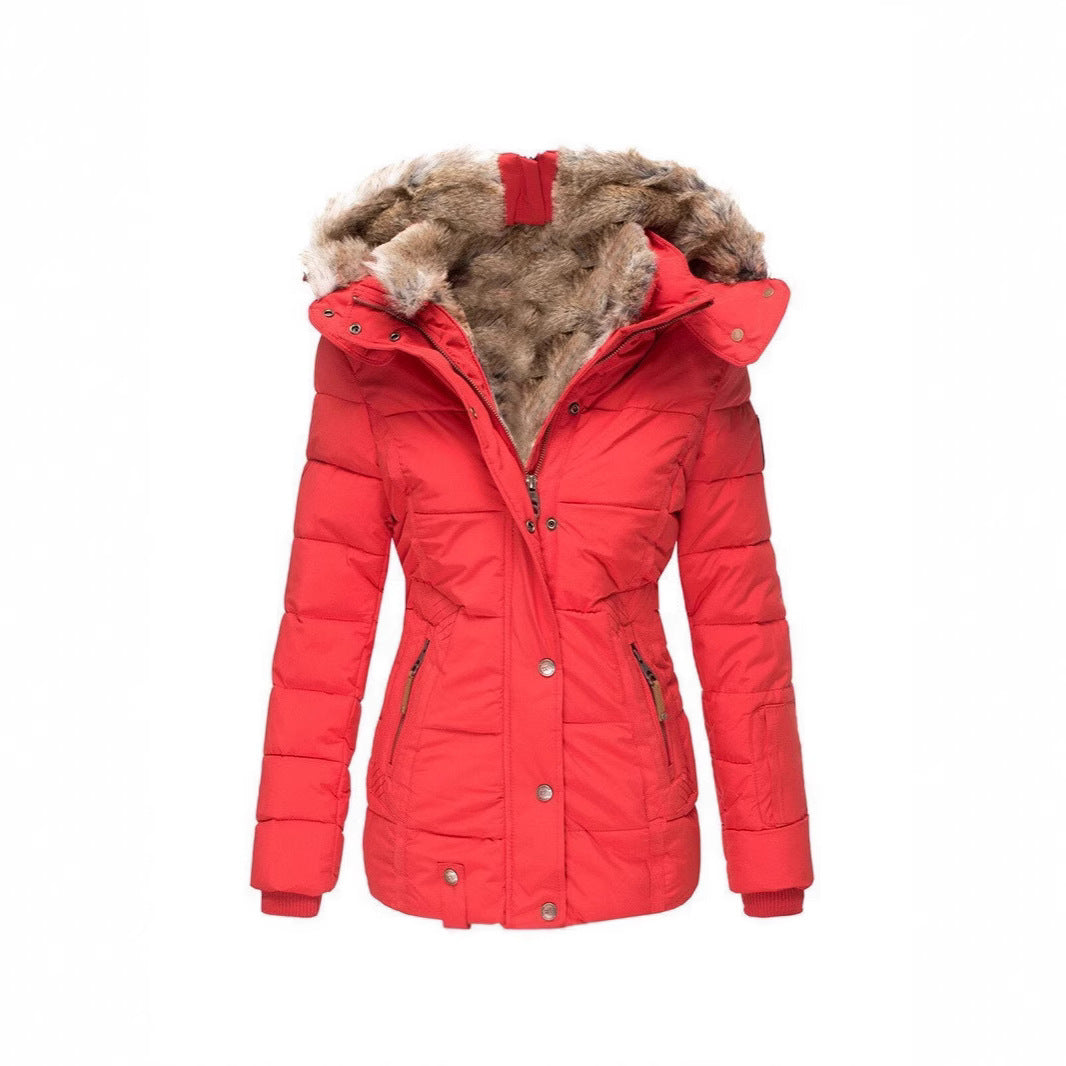 Women's Winter Warm Fur Collar Cotton Clothes Coats