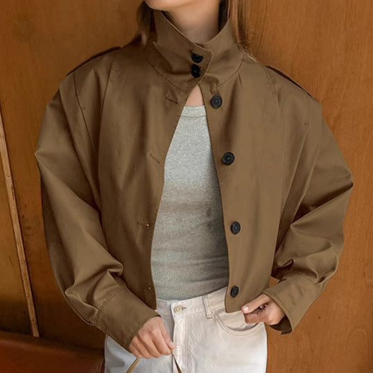 Lapel Simple Graceful Single Breasted Autumn Coats