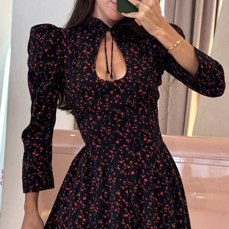 Women's Dress Inspirational Design Stylish Stand-up Collar Dresses