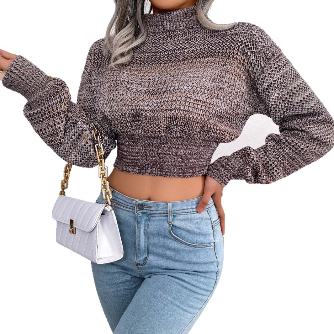 Women's Clearance Style Fashion Color Long Sleeves Cropped Sweaters