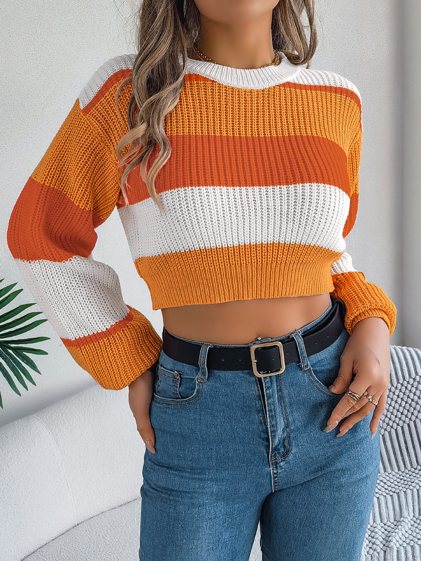 Women's Casual Multicolor Lantern Sleeve Pullover Sweater