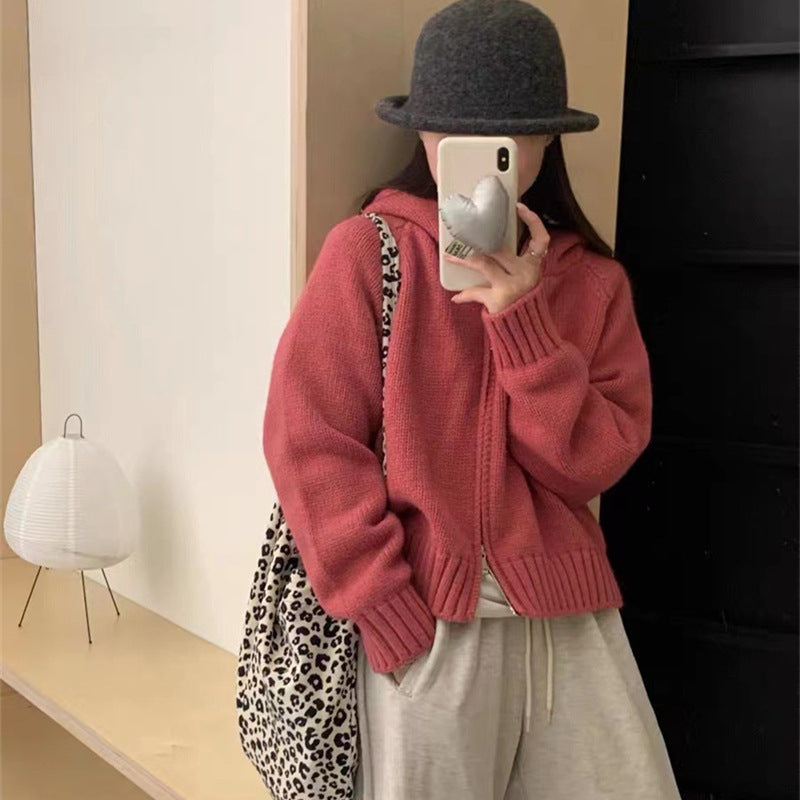Women's Idle Hooded Knit Loose High-grade Double Zipper Women's Sweater
