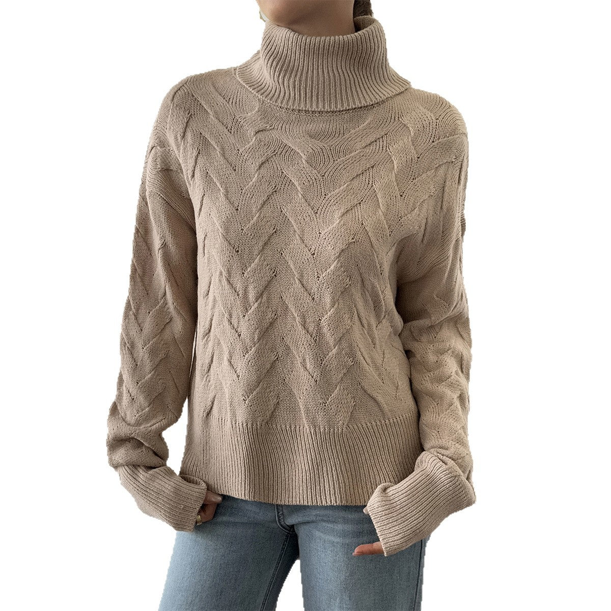 Women's Casual Solid Color Wool Long Sleeve Sweater