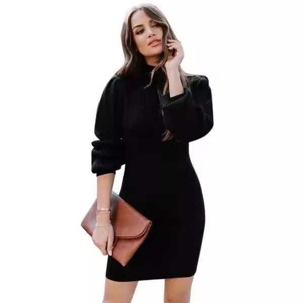 Women's Turtleneck Knitting Pullover Mid Hip Dress
