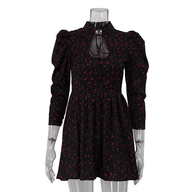 Women's Dress Inspirational Design Stylish Stand-up Collar Dresses