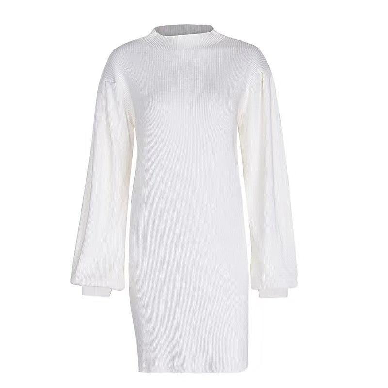 Women's Turtleneck Knitting Pullover Mid Hip Dress
