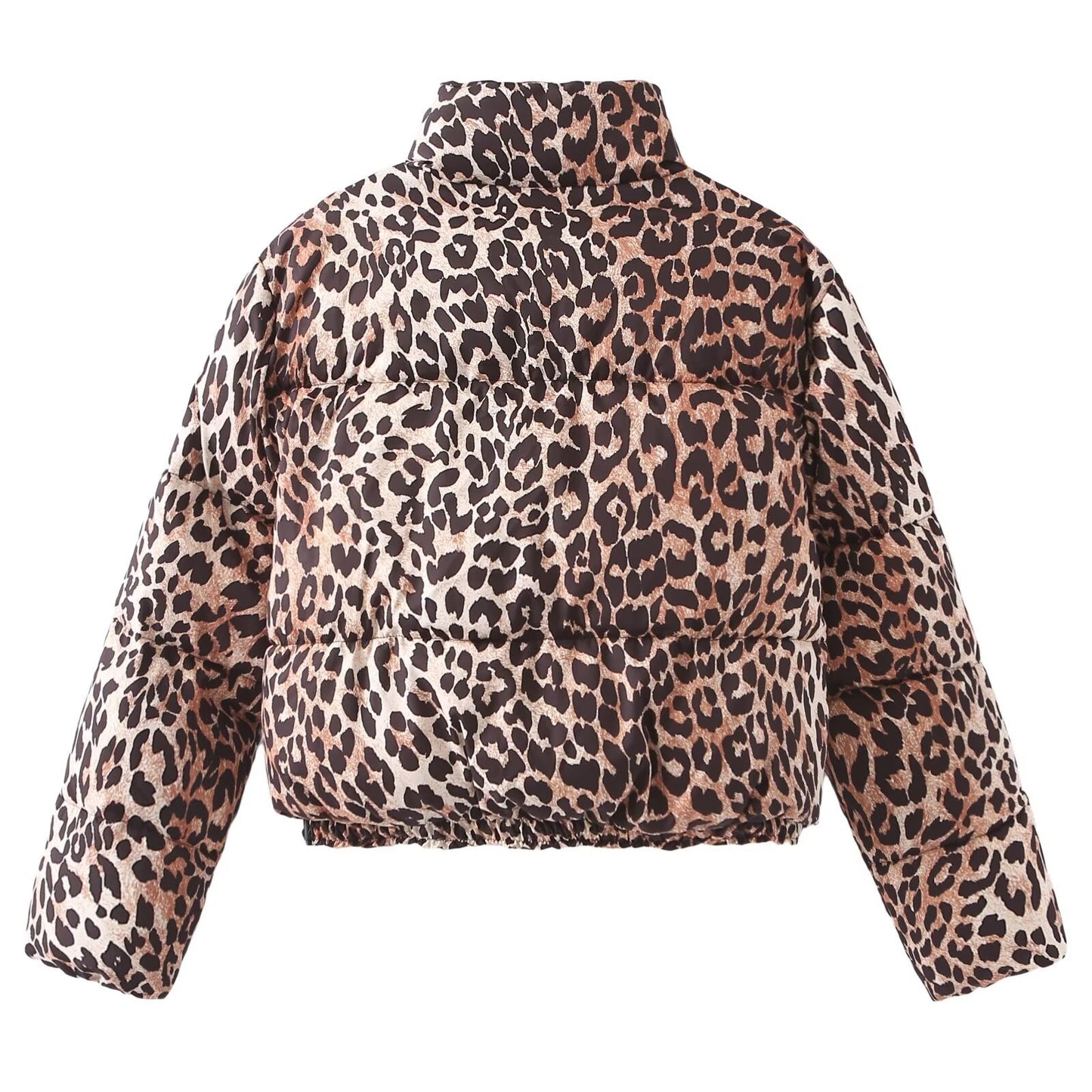 Women's Spring Street Fashion Leopard Print Stand-up Coats