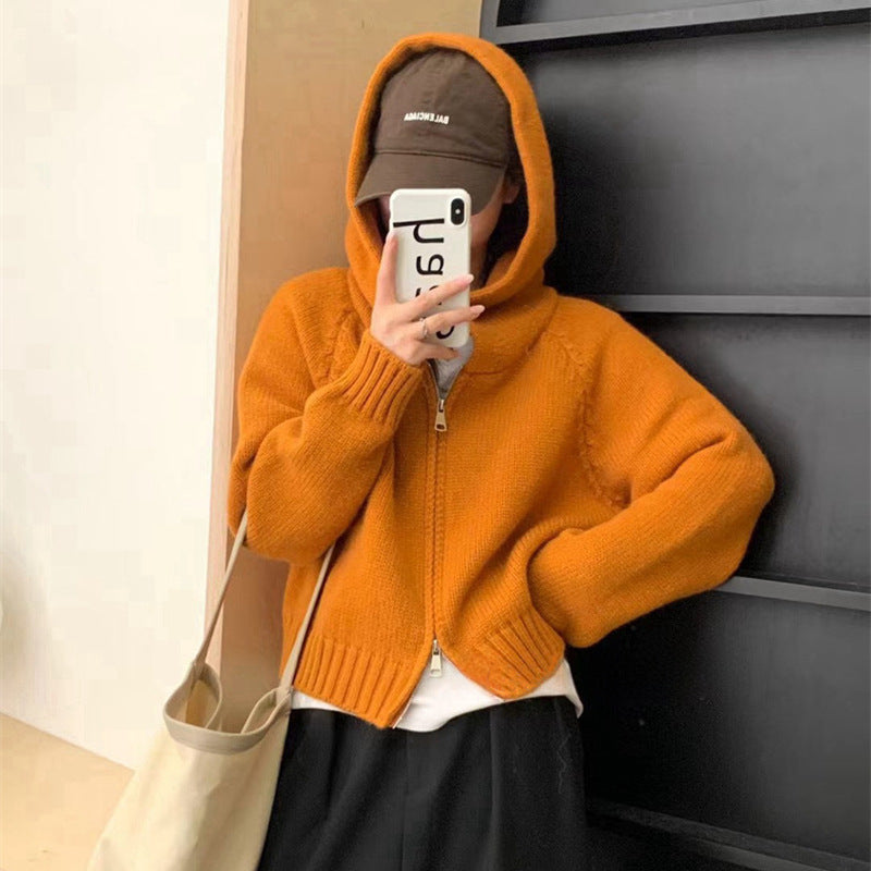 Women's Idle Hooded Knit Loose High-grade Double Zipper Women's Sweater