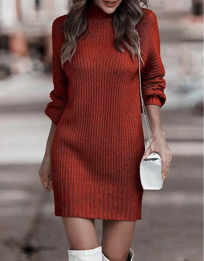 Graceful Innovative Women's Turtleneck Long Sleeve Dress