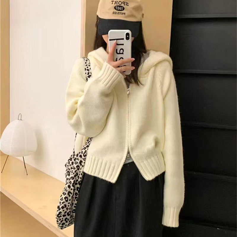 Women's Idle Hooded Knit Loose High-grade Double Zipper Women's Sweater