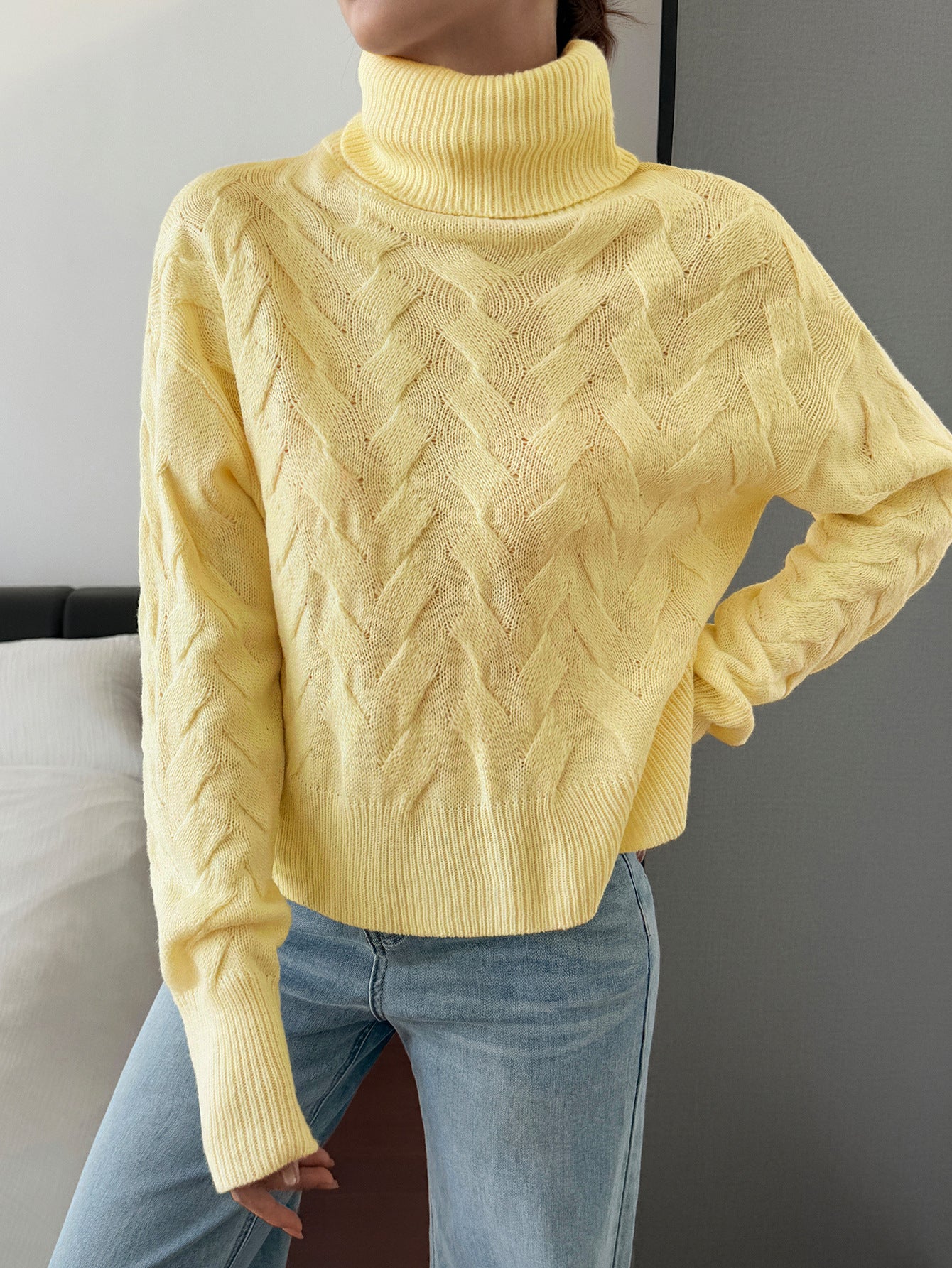 Women's Casual Solid Color Wool Long Sleeve Sweater